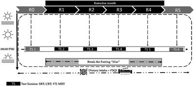 The impact of intermittent fasting during Ramadan on psychomotor and cognitive skills in adolescent athletes